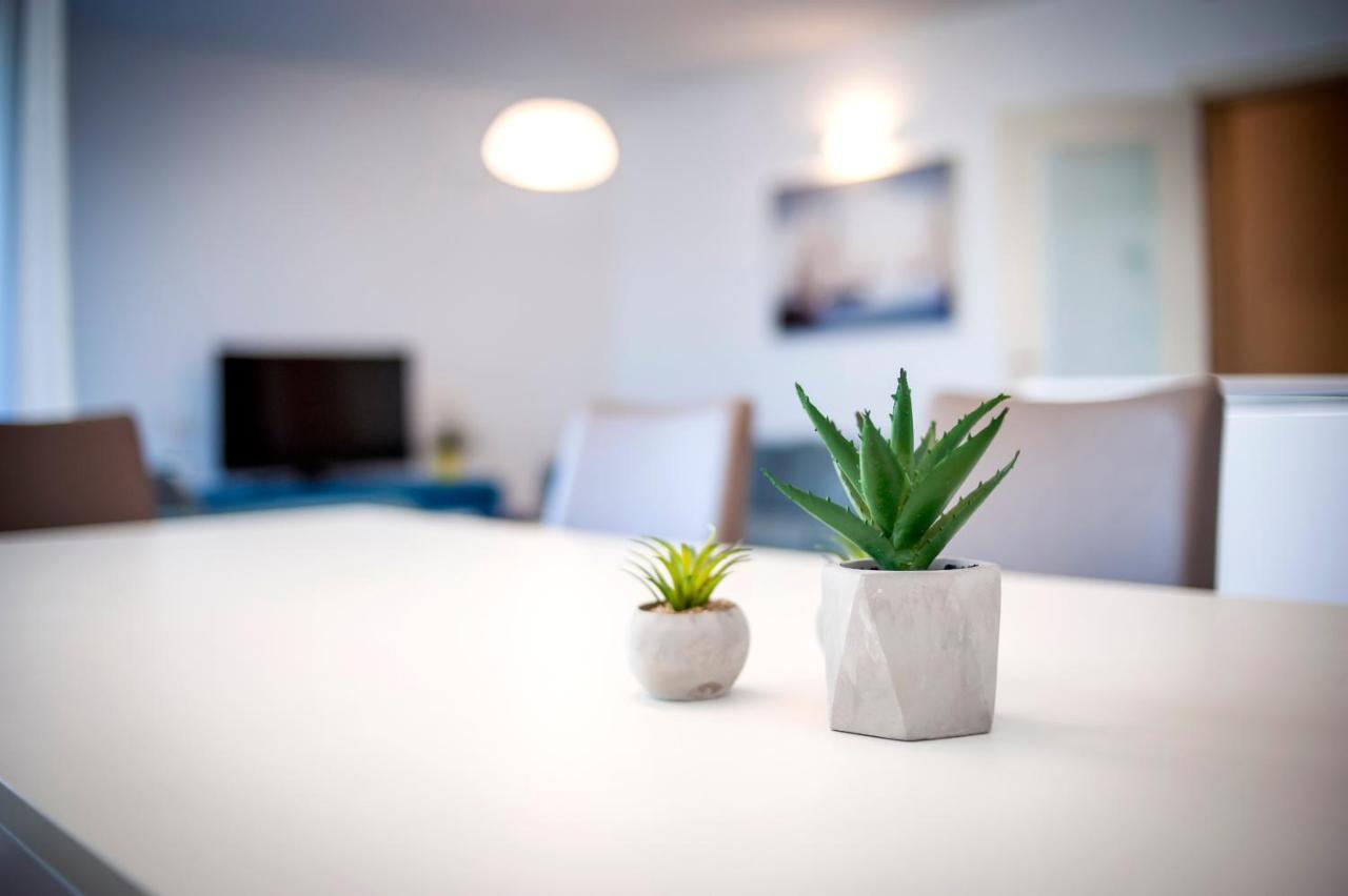 Sunny Day - Apartment With Parking Rovinj Exterior foto